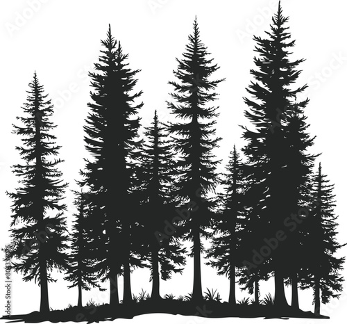 Pine trees silhouette vector