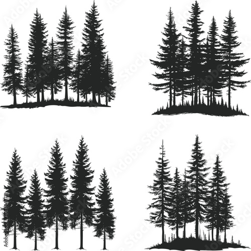 A set of Pine trees silhouette vector