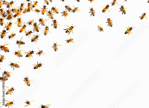 A group of bees flying in the air.