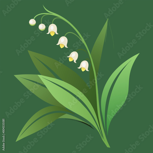 Detailed image of a lily of the valley: vector illustration
