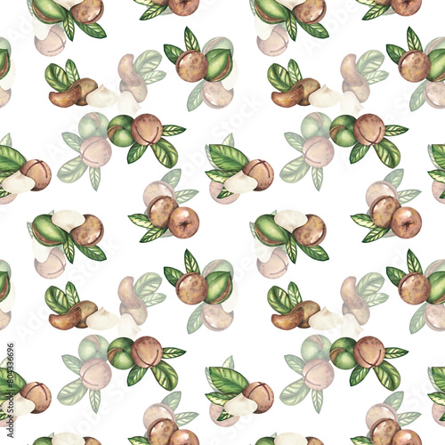 Seamless pattern with Macadamia nut. A brown ripe nut in close-up. Watercolor illustration isolated on a white background. Template for the design of wallpaper, wrapping paper, postcards, textiles