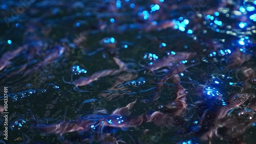 Aquatic Beginnings: Tiny Tadpoles in Organic Farming