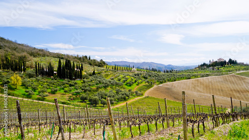 Panorama primaverile delle colline della val d orcia Radda in Chianti Siena Toscana Italia  