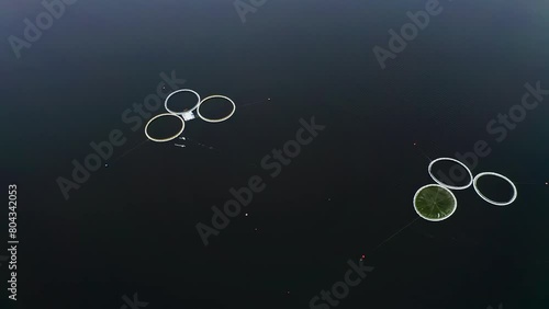 Eco-Friendly Fish Breeding: A Winter Drone Perspective. Aerial drone shot