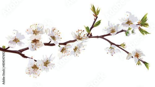 Blossoming branch on white background Vector style vector