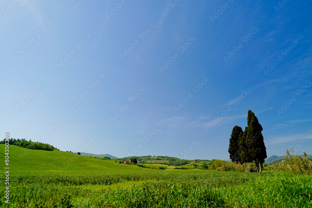 Panorama delle colline di Lajatico, terra natale di Andrea Bocelli presidente del Teatro del Silenzio, parco tematico musicale. ,provincia di pisa,toscana,italia