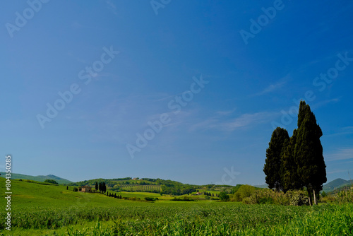 Panorama delle colline di Lajatico  terra natale di Andrea Bocelli presidente del Teatro del Silenzio  parco tematico musicale.  provincia di pisa toscana italia