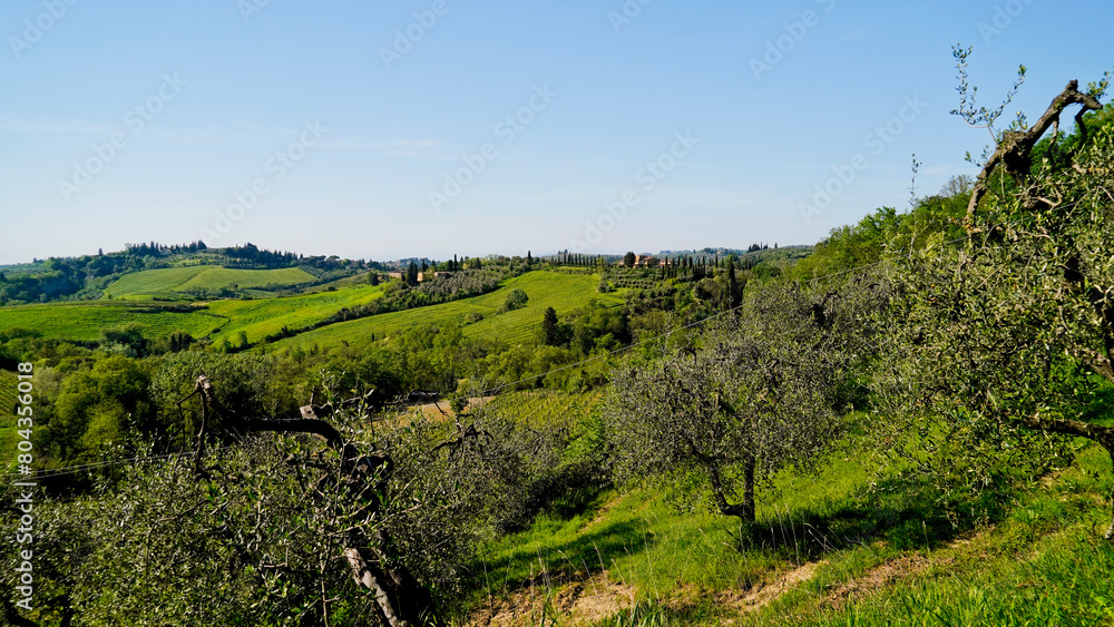 Panorama delle colline e delle balze vicino al borgo medievale fortificato di Certaldo.Provincia di Firenze,Toscna,Italia Panorama delle colline e delle balze vicino al borgo medievale fortificato di Certaldo.Provincia di Firenze,Toscna,Italia
