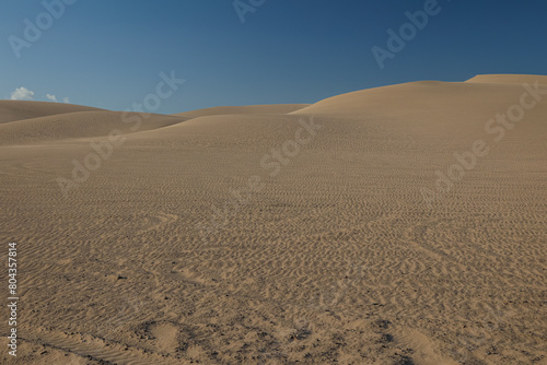 a dirt plain with small footprints in it under a blue sky