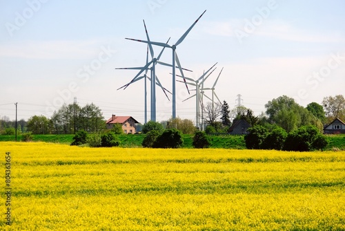 Wind farm and blooming rapeseed field in Zulawy, Poland