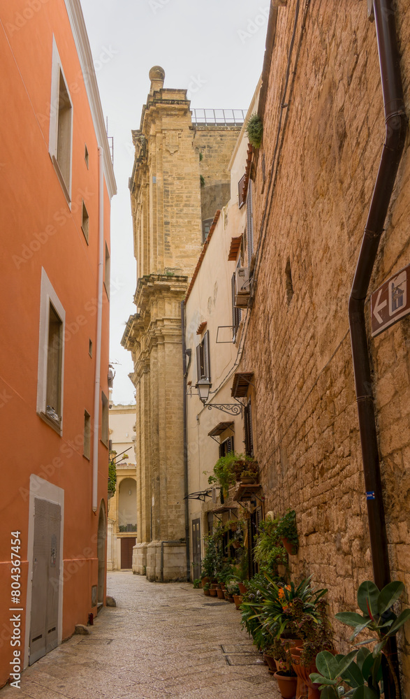 street in the town, Bari, Apulia, Italy, March 2024 street in the town, Bari, Apulia, Italy, March 2024