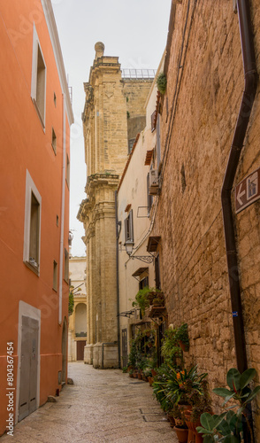 Fototapeta Naklejka Na Ścianę i Meble -  street in the town, Bari, Apulia, Italy, March 2024