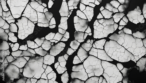 black and white cracked enamel texture, crackle art background 