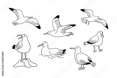 Summer set of cute doodle seagulls isolated on white background. Collection of sketchy drawing of sea birds flying, standing and on water wave. Monochrome black outline stickers