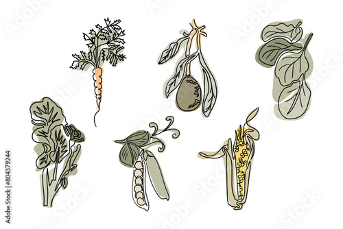 Set of healthy vegetables line art drawing in boho style. Botanical outline retro drawing. Contour line outline composition isolated on white background. Good for printout