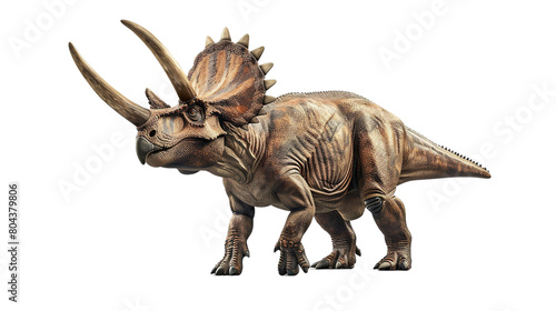 Triceratops isolated on white background © Varunee