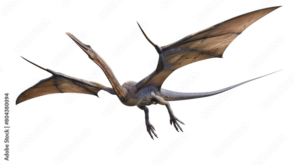 Fototapeta premium pterodactyls isolated on white background