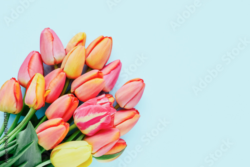 Colorful tulips Bouquet on a soft pastel blue background. Greeting card with copy space