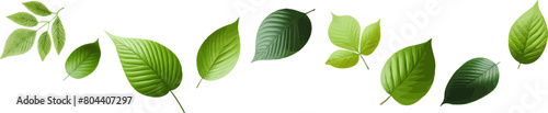 Green flying leaves seamless border. Green leaves wave .Falling fresh leaf . Foliage green leaves ornament . Realistic green leaf .