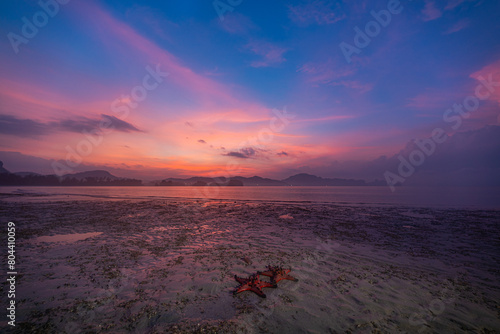Abundant sea There is beautiful nature. In the quiet sea of Krabi Province.  Red starfish on the shore at sunrise. bright orange starfish Move slowly on the sand. islands background.
