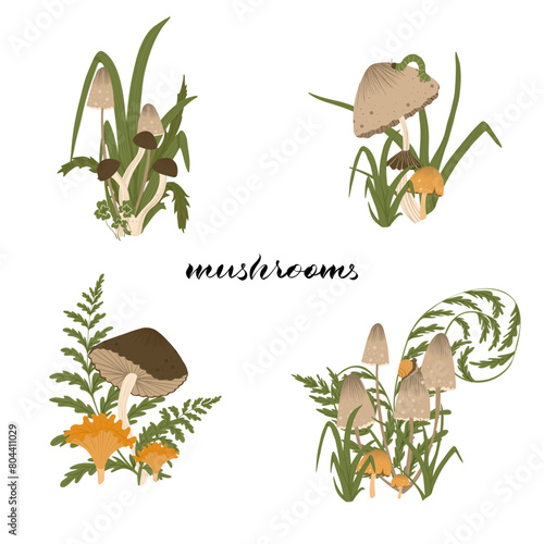 Mushrooms compositions. Set of autumn mushrooms with fern leaves, grass. Fall mushrooms for sticker, logo, children book, print. Isolated vector element. White background.