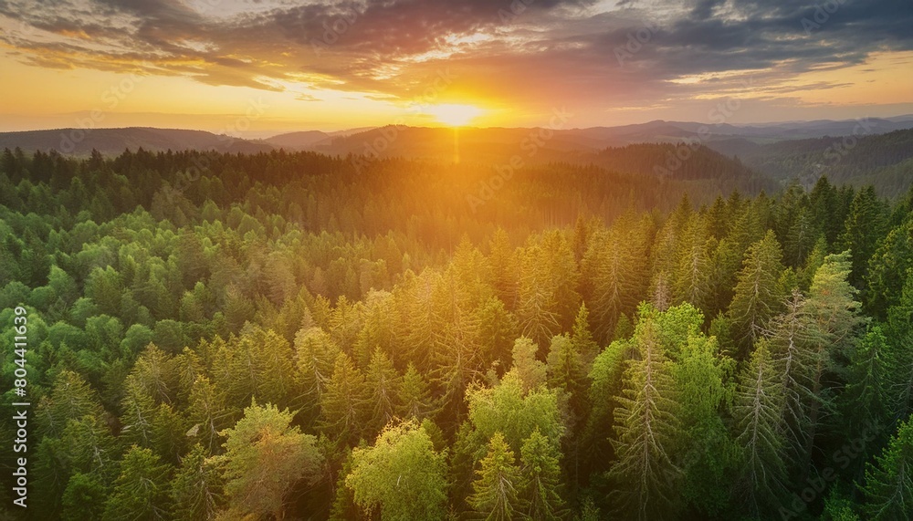 Nature's Canvas: Vibrant Sunset Casting a Glowing Light Over the Boundless Forest. Generative AI. Nature's Canvas: Vibrant Sunset Casting a Glowing Light Over the Boundless Forest. Generative AI.