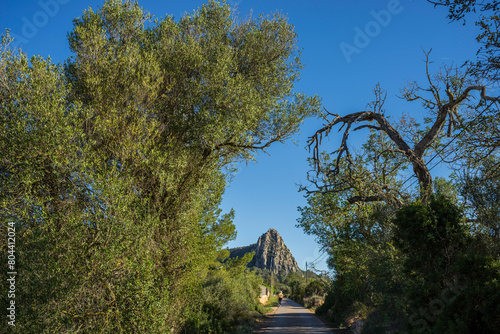 Lonely woman walking towards the Puig De Ses Bruixes peak, Galdent mountain range, Llucmajor, Mallorca, Balearic Islands, Spain photo