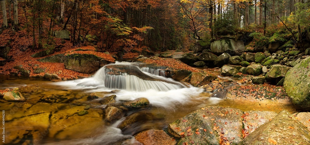 Fototapeta premium Panoramic photo of a beautiful warm autumn atmosphere by the cascade in the rocky bed of the Mumlava river in the middle of the forest in the heart of the Krkonoše near Harrachov