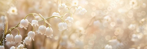 Valley flowers their graceful white petals on a dreamy blurred background photo