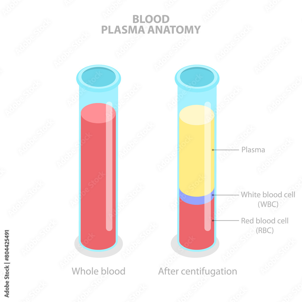 3D Isometric Flat Illustration of Blood Plasma Anatomy, Labeled Anatomical Scheme 3D Isometric Flat Illustration of Blood Plasma Anatomy, Labeled Anatomical Scheme