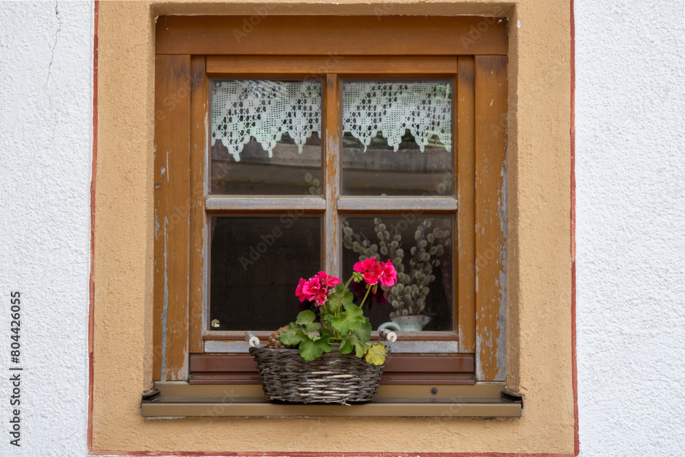 Brown framed window of a farmhouse with patterned half curtain. A wicker basket with red geranium on the windowsill