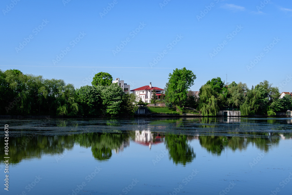 Landscape with old green trees near Mogosoaia lake and park, a weekend attraction close to Bucharest, Romania, in a sunny spring day. Landscape with old green trees near Mogosoaia lake and park, a weekend attraction close to Bucharest, Romania, in a sunny spring day.