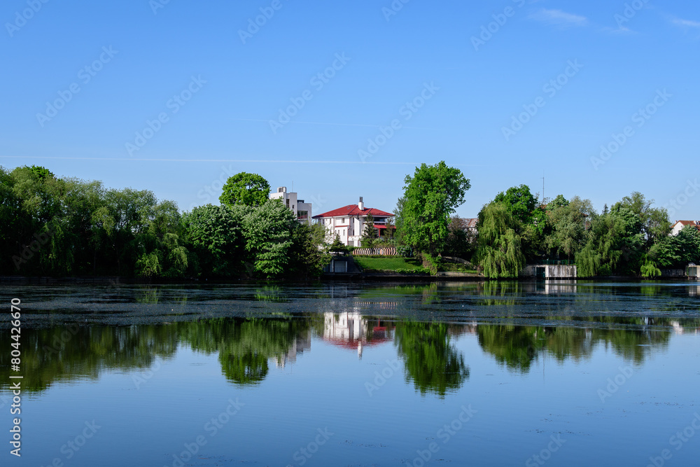 Landscape with old green trees near Mogosoaia lake and park, a weekend attraction close to  Bucharest, Romania, in a sunny spring day.