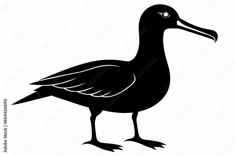 Albatross silhouette on white background, Vector illustration,icon,svg,characters,Holiday t shirt,Hand drawn trendy Vector illustration Albatross silhouette on white background, Vector illustration,icon,svg,characters,Holiday t shirt,Hand drawn trendy Vector illustration