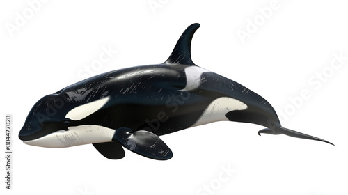 Orca killer whale isolated on transparent background, Generic AI