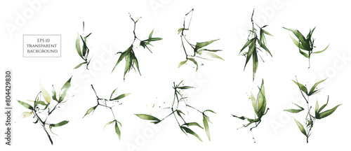 Watercolor exotic greenery set. Green bamboo branches, leaves and twigs.