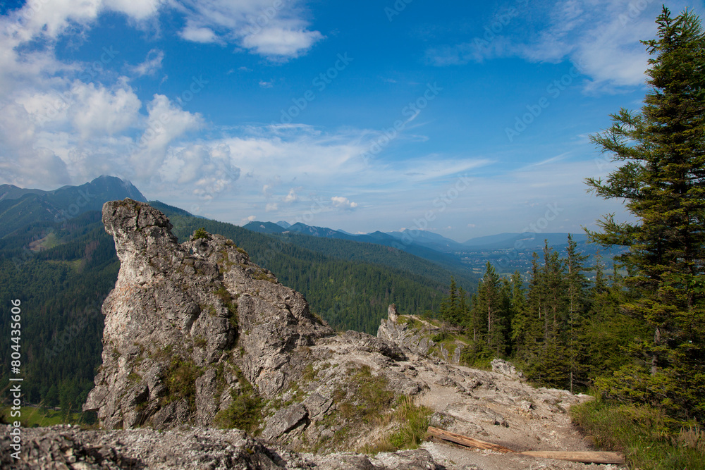 Obraz premium landscape in the mountains