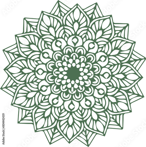 Beautiful mandala art and vector mandala design.