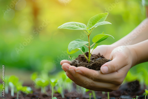 Hands gently holding a young plant with soil on a green background