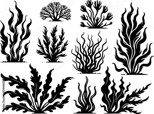 Plantes sous marines, algues, coraux, corail, noir isolé 