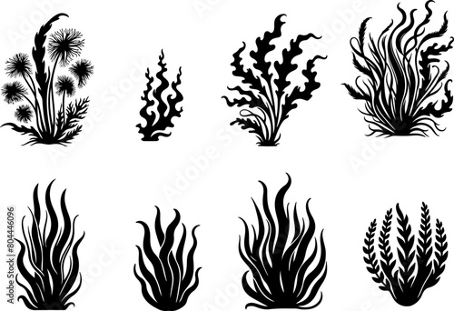 Plantes sous marines, corail isolé, vecteur noir fond transparent photo