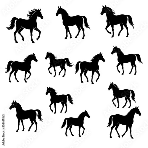 horse silhouettes collection