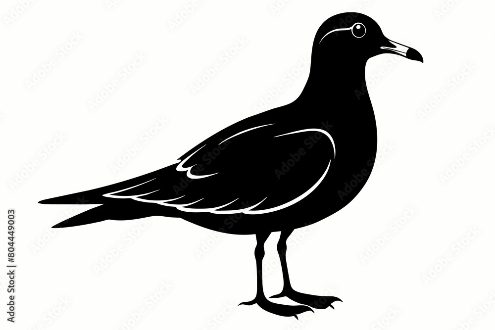 Fototapeta premium Seagull silhouette on white background, Vector illustration, icon, svg, characters, Holiday t shirt, Hand drawn trendy Vector illustration