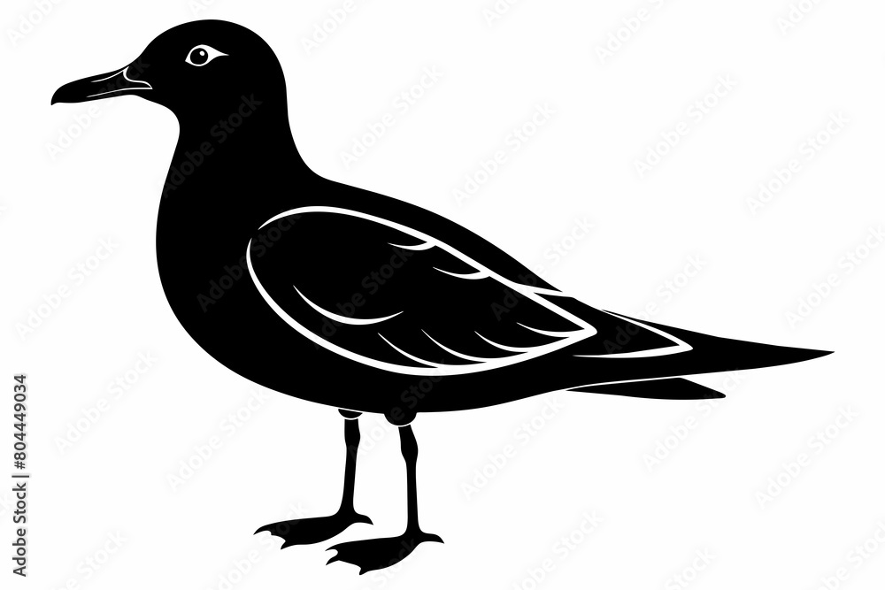 Obraz premium Seagull silhouette on white background, Vector illustration, icon, svg, characters, Holiday t shirt, Hand drawn trendy Vector illustration