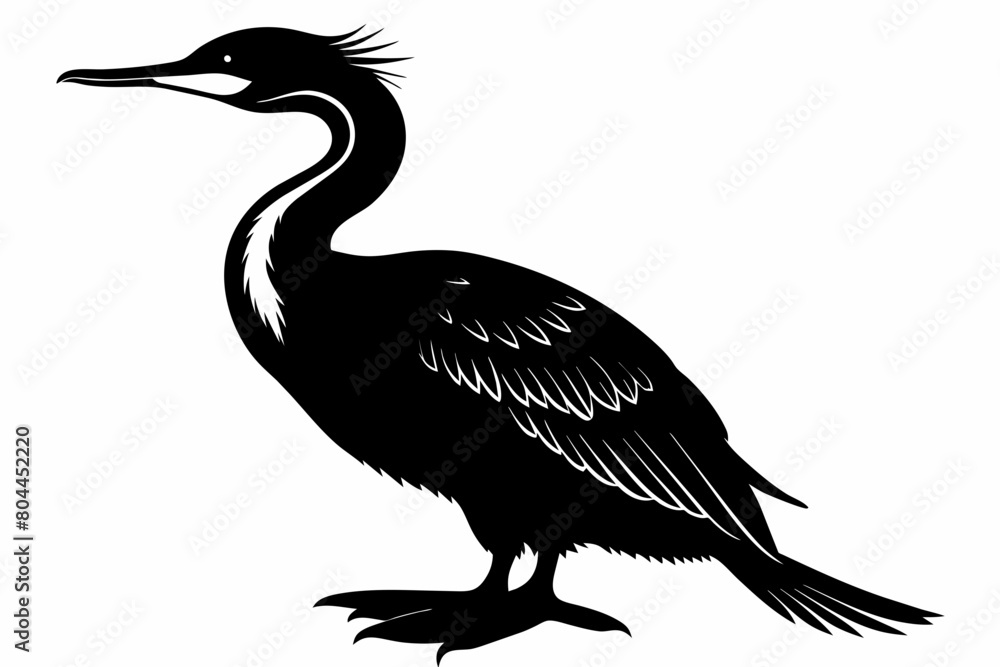 Cormorant silhouette on white background, Vector illustration, icon, svg, characters, Holiday t shirt, Hand drawn trendy Vector illustration Cormorant silhouette on white background, Vector illustration, icon, svg, characters, Holiday t shirt, Hand drawn trendy Vector illustration