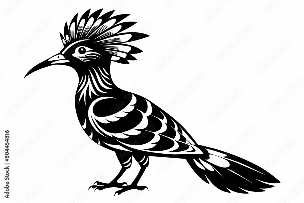 Fototapeta premium Hoopoe silhouette on white background, Vector illustration, icon, svg, characters, Holiday t shirt, Hand drawn trendy Vector illustration