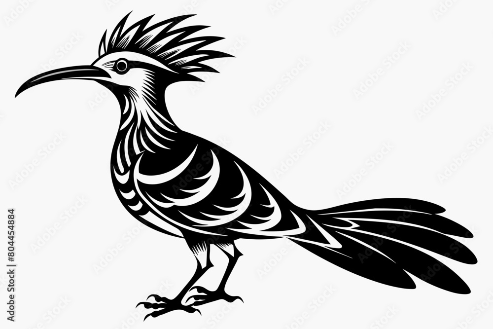 Fototapeta premium Hoopoe silhouette on white background, Vector illustration, icon, svg, characters, Holiday t shirt, Hand drawn trendy Vector illustration