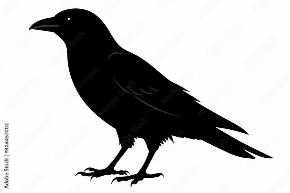 Fototapeta premium crow silhouette on white background, Vector illustration, icon, svg, characters, Holiday t shirt, Hand drawn trendy Vector illustration