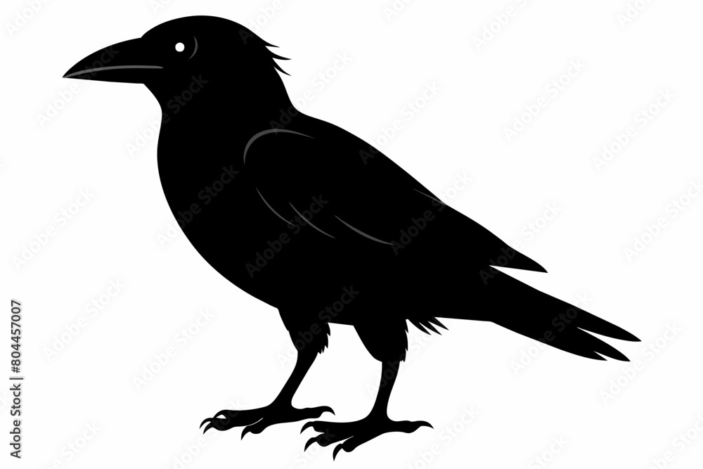 crow silhouette on white background, Vector illustration, icon, svg, characters, Holiday t shirt, Hand drawn trendy Vector illustration crow silhouette on white background, Vector illustration, icon, svg, characters, Holiday t shirt, Hand drawn trendy Vector illustration