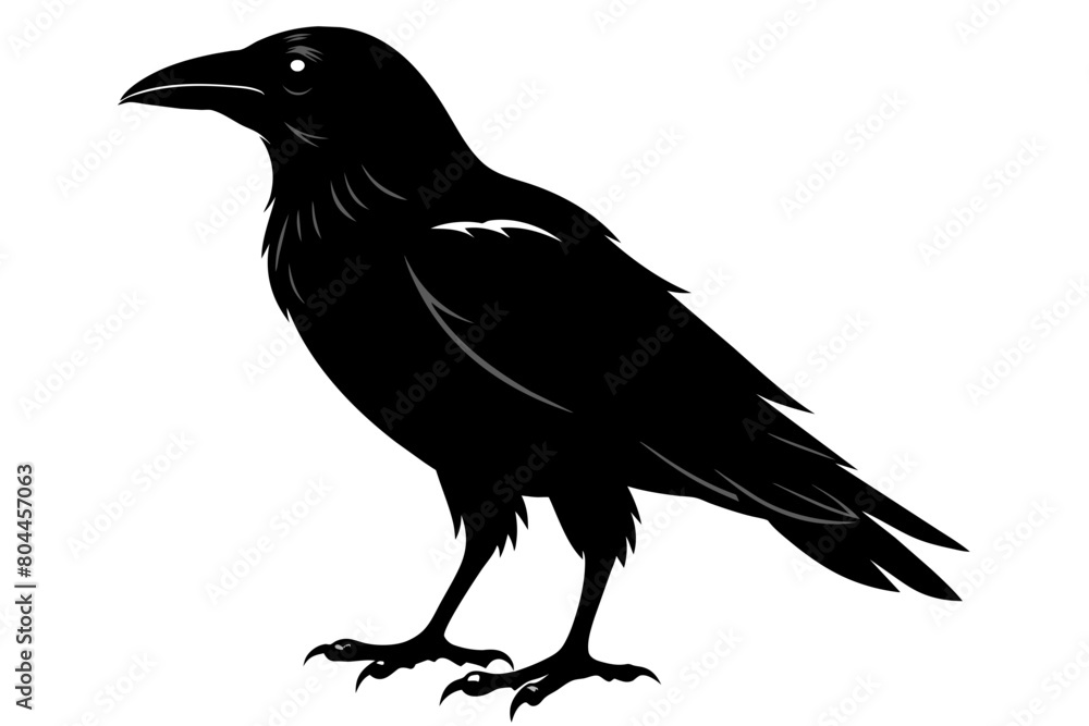 crow silhouette on white background, Vector illustration, icon, svg, characters, Holiday t shirt, Hand drawn trendy Vector illustration crow silhouette on white background, Vector illustration, icon, svg, characters, Holiday t shirt, Hand drawn trendy Vector illustration